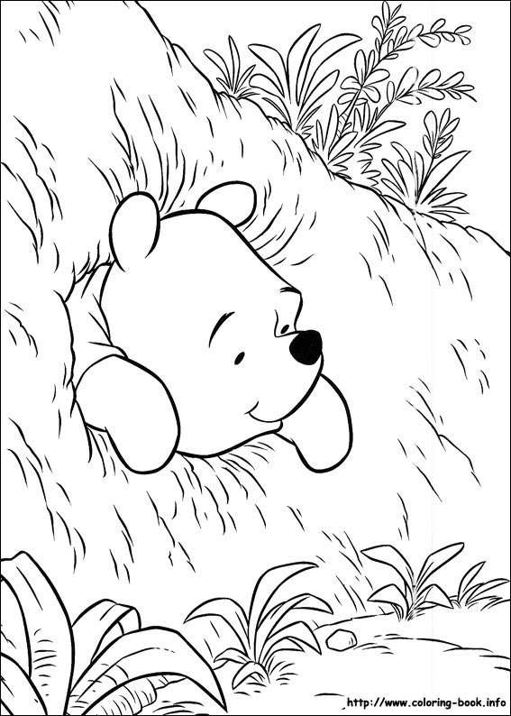 Winnie the Pooh coloring picture